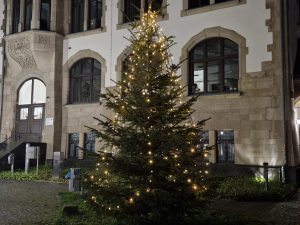 Mehr über den Artikel erfahren 7 Meter hoher Weihnachts- baum vor dem Amtshaus