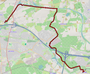 Mehr über den Artikel erfahren Die Mondschein- wanderung fällt aus