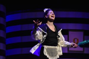 Mehr über den Artikel erfahren Heimatverein besucht Operette Fledermaus